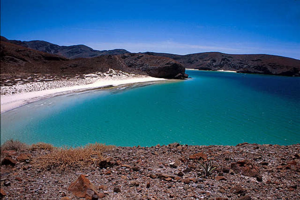 Южная нижняя калифорния. Залив Пуэрто Баландра Мексика. Пляжи Baja California. Лагуна Baja.